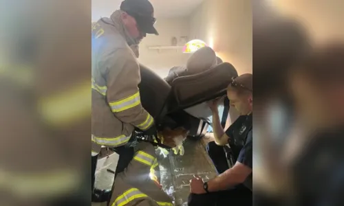 
							Gato acima do peso tenta fugir de consulta veterinária e fica entalado em cadeira; veja
						
						