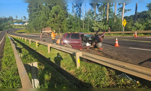 
							Motorista morre após invadir contramão e colidir frontalmente com carreta na BR-376
						
						