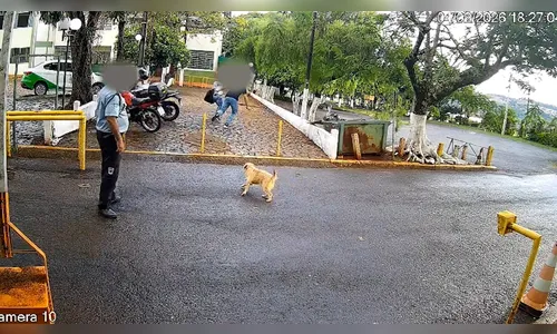 
							Segurança é autuado por roubo após presenciar assalto e não ajudar vítima; veja vídeo
						
						