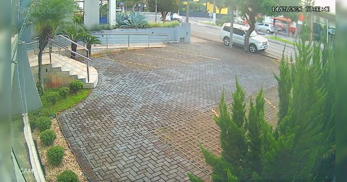 Câmeras flagram carro em alta velocidade atropelar e matar idoso e cão em Londrina