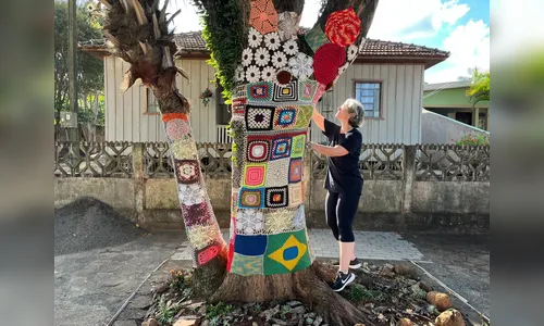 
							Artesãs de Apucarana (PR) decoram árvore com crochê e criam nova atração no Pirapó
						
						