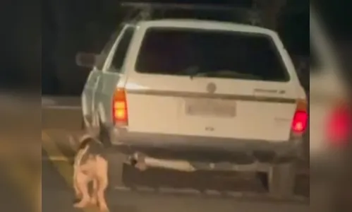 
							Polícia prende homem flagrado arrastando cachorro por corda no PR
						
						