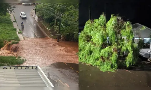 
							Apucarana mapeia 25 pontos de alagamento e prepara obras de drenagem
						
						