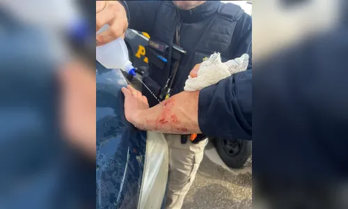
							STF manda prender empresário de SC condenado por atacar policiais em bloqueios golpistas
						
						