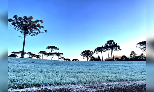 
							Massa de ar polar traz temperaturas negativas e geada ao PR nesta segunda
						
						