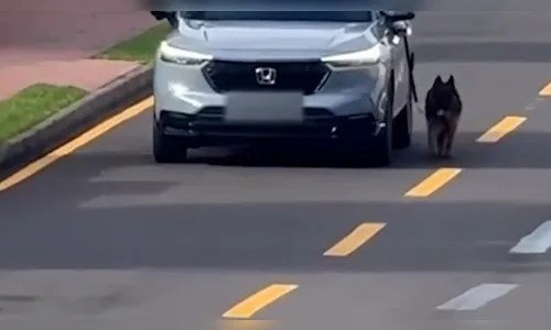 
							Polícia investiga motorista flagrado puxando cachorro pelo lado de fora de carro em movimento no PR
						
						