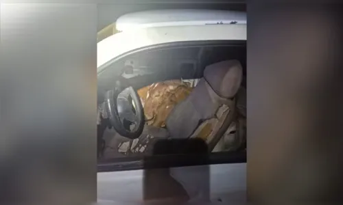 
							Polícia encontra bois furtados espremidos dentro de carro; veja
						
						