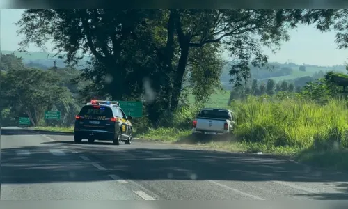 
							PRF apreende mais de 470 quilos de skunk em Maringá (PR)
						
						