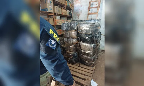 
							PRF apreende mais de 470 quilos de skunk em Maringá (PR)
						
						