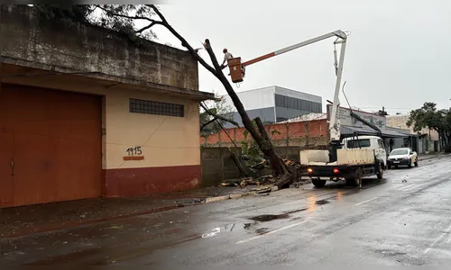 
							Temporal derruba árvores e postes em Ivaiporã nesta quarta-feira (29)
						
						