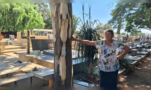 
							Família denuncia sumiço de restos mortais de cemitério em Arapongas (PR); veja
						
						