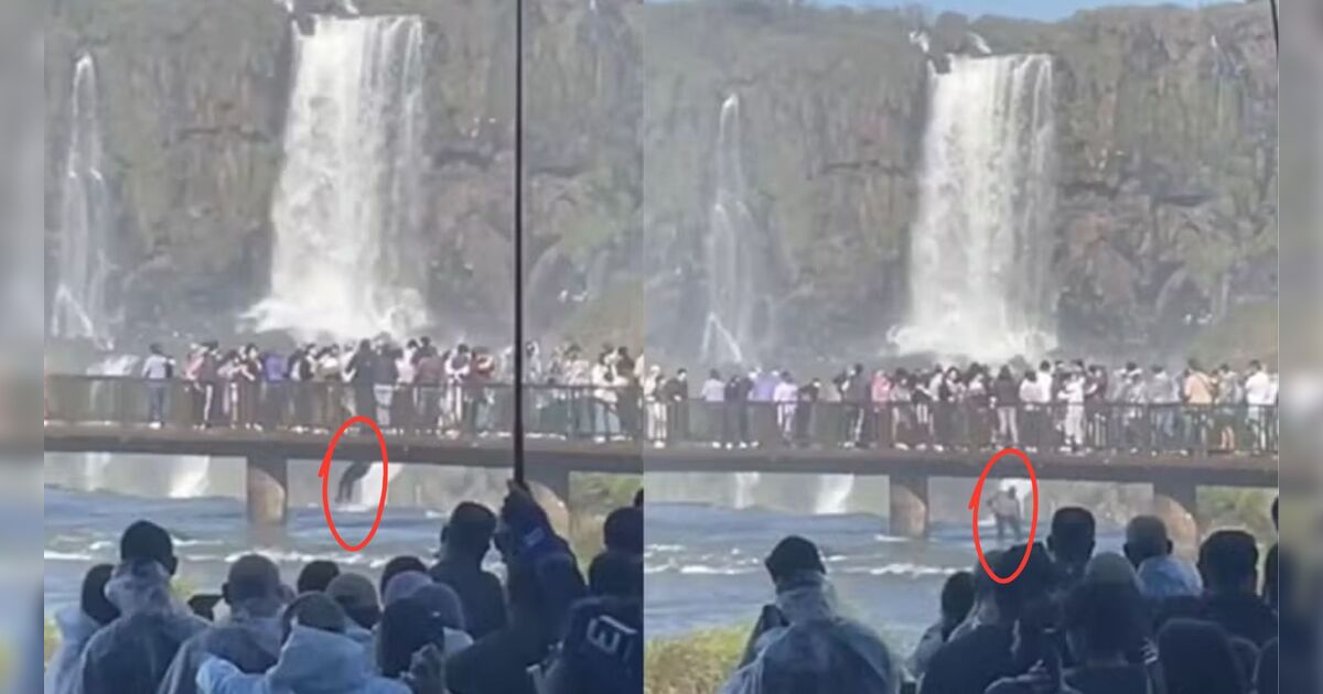 Turista se pendura em passarela e pula nas águas das Cataratas do Iguaçu para recuperar celular