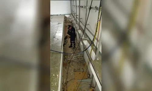 
							Cachorro é resgatado de fosso em empresa desativada em Arapongas
						
						