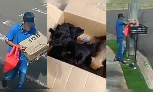 
							Vídeo mostra homem abandonando filhotes de cachorro em lixeira em Apucarana; veja
						
						
