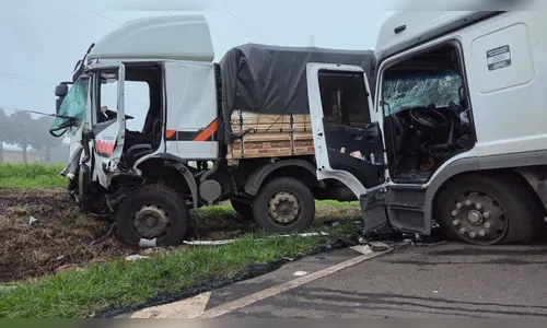 
							Caminhões batem de frente na BR-369 entre Apucarana e Arapongas
						
						