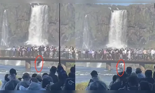 
							Turista se pendura em passarela e pula nas águas das Cataratas do Iguaçu para recuperar celular
						
						