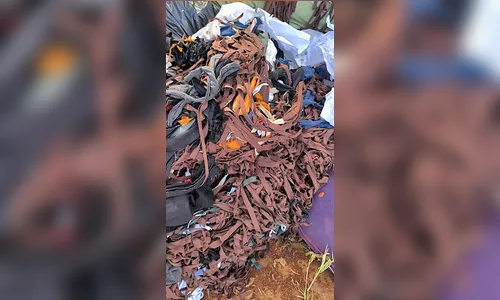 
							Descarte irregular de lixo é encontrado em estrada rural
						
						