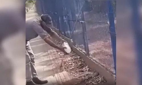 
							Homem perde parte do dedo após ser atacado por lagarto; veja vídeo
						
						