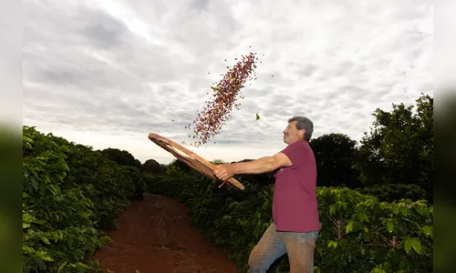 
 Com selo de origem, café especial da Serra de Apucarana mira mercado internacional
 
 