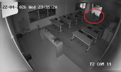 
							Força-tarefa faz buscas por onça-pintada no PR após novo vídeo; veja
						
						