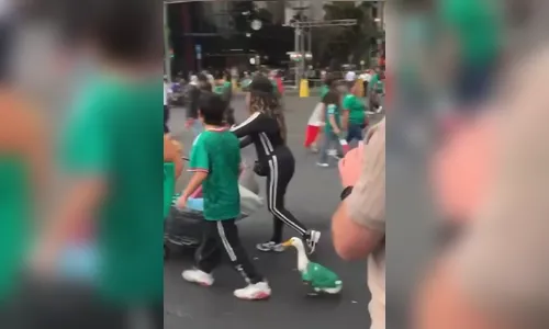 
							Pato ‘torcedor’ com camisa do México chama atenção na Copa do Mundo; veja vídeo
						
						