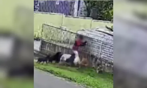 
							Vídeo mostra criança sendo atacada por nove cães no Paraná
						
						