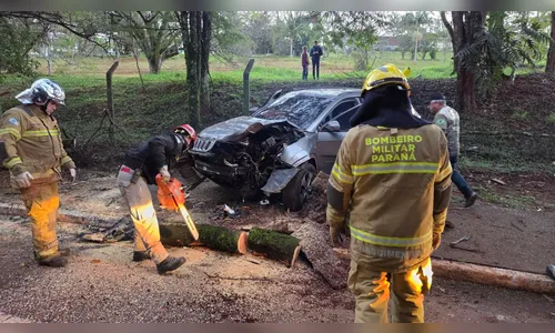 
							Carro bate em árvore e motorista é socorrido por família em Apucarana
						
						