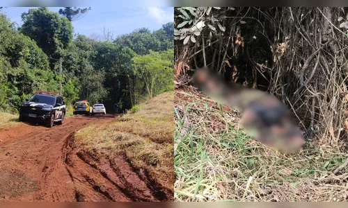 
							Corpo carbonizado é encontrado em área de mata de Apucarana (PR)
						
						