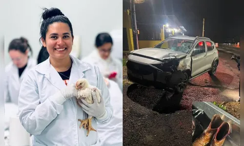 
							Estudante de medicina veterinária morre atropelada na BR-369
						
						