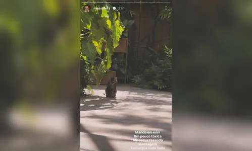 
							Ex-BBB que se tornou atriz tem refúgio rodeado pela natureza no RJ; saiba quem
						
						
