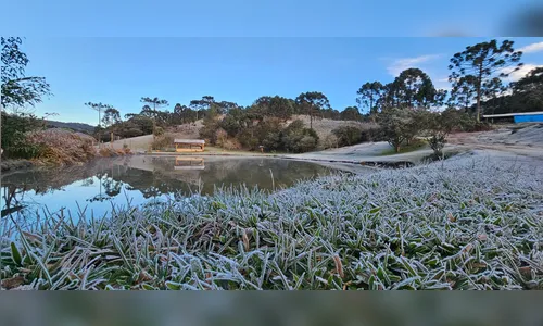 
							Frio intenso no Paraná: cidades registram mínimas abaixo de -3 °C
						
						