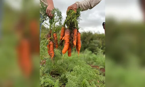 
							Faturamento do agronegócio chega a R$ 8,6 bilhões na região
						
						