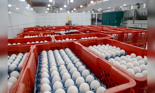 
							Faturamento do agronegócio chega a R$ 8,6 bilhões na região
						
						