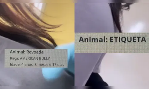 
							Veterinária viraliza ao mostrar nomes inusitados de pacientes; assista
						
						