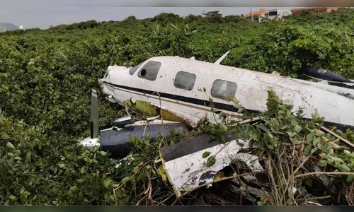 
							Imagens mostram queda de avião em SC; piloto pediu socorro por pane em motor
						
						