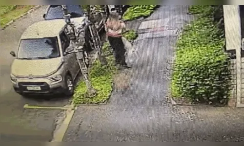 
							Capivara ferida ataca cachorro durante passeio e assusta moradora
						
						