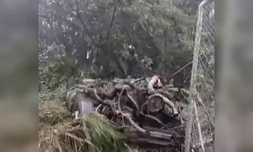 
							Motorista sobrevive após caminhão ficar destruído em grave acidente no PR
						
						
