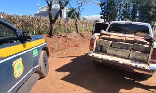 
							PRF apreende quase uma tonelada de maconha e recupera caminhonete furtada em Faxinal
						
						