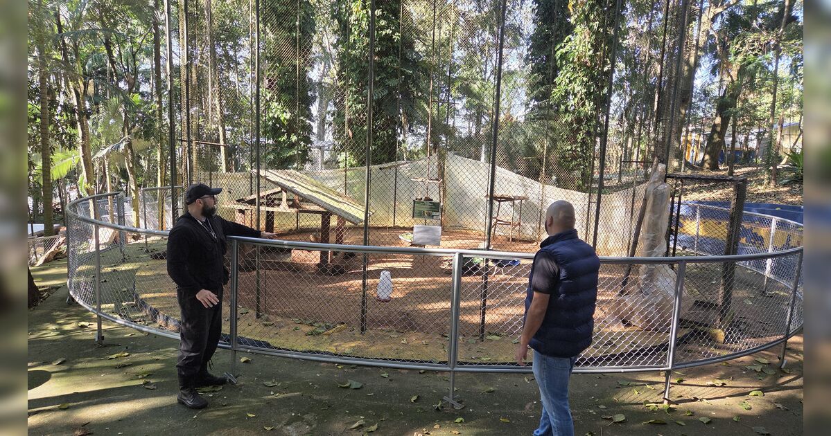 Com 70% das obras concluídas, Bosque de Apucarana passa por reestruturação para reabertura