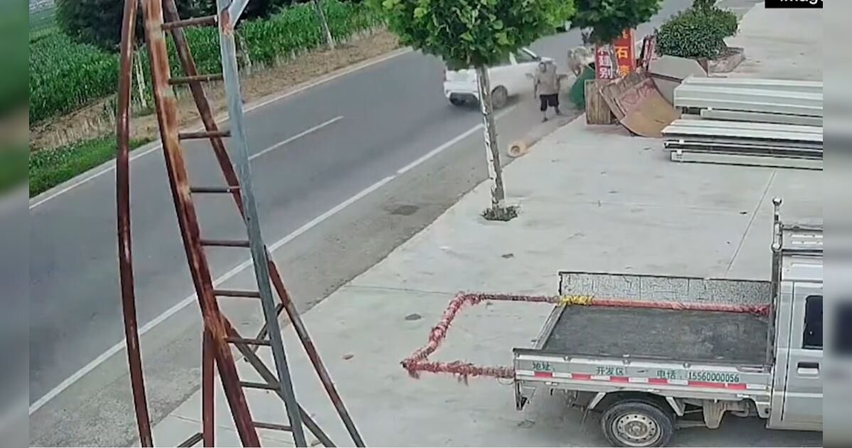Por um triz: vento leva chapéu e livra idoso de ser atingido por carro na China