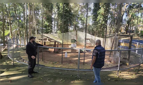 
							Com 70% das obras concluídas, Bosque de Apucarana passa por reestruturação para reabertura
						
						