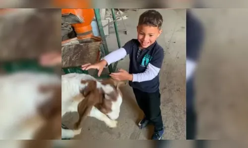 
							Corpo de menino autista é localizado em propriedade rural após dois dias de buscas no PR
						
						