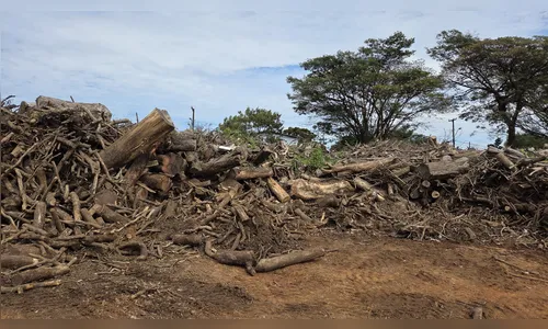 
							Defesa Civil monitora 11 áreas de risco mapeadas em Apucarana
						
						