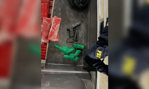 
							PRF apreende 380 kg de maconha e armas em fundo falso de barco na BR-376
						
						