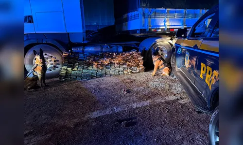 
							Motorista paraguaio é preso na BR-277 com 298 kg de cocaína em tanque de combustível
						
						