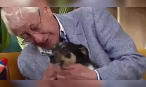 
							Idoso de 80 anos emociona a Espanha ao pedir adoção do próprio cão por problemas de saúde
						
						