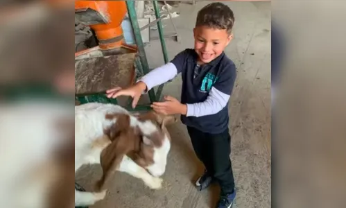 
							Menino autista não verbal desaparece no PR e Alerta Amber é ativado; buscas são feitas
						
						