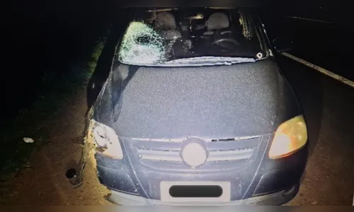 
							Pedestre morre ao ser atropelado na rodovia PR-444 em Apucarana
						
						