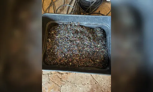
							Polícia Civil apreende grande quantidade de cobre durante operação em Jandaia do Sul
						
						