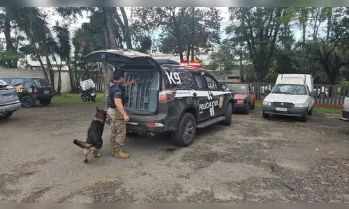 
							Polícia Civil faz operação por tentativa de homicídio e apreende carro e moto em Apucarana
						
						